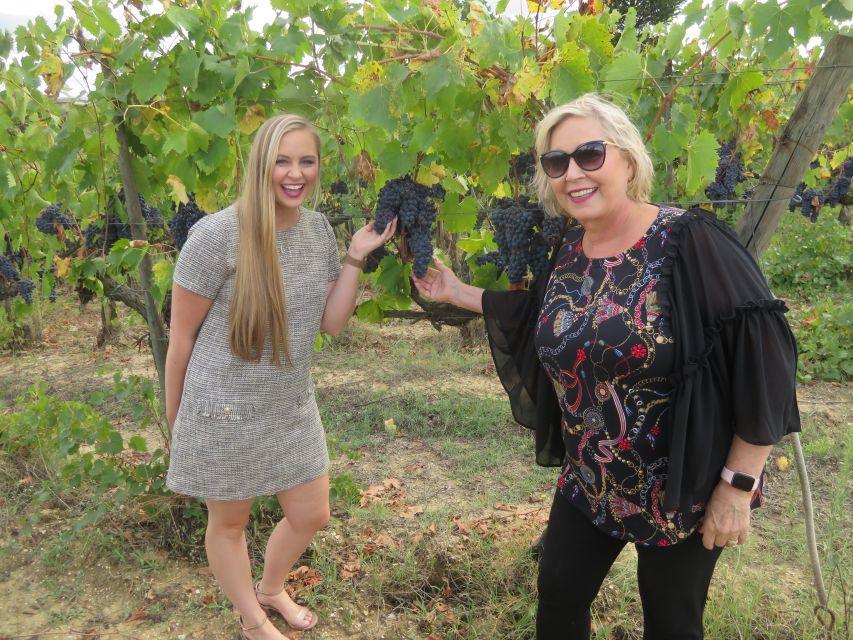 San Gimignano: Chianti Hills Tuk-Tuk Tour for 2 - Why the tuk-tuk is a good way to see Chianti