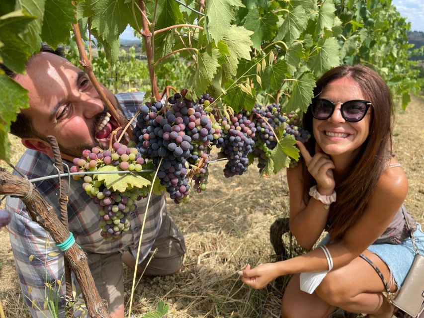 San Gimignano: Chianti Hills Tuk-Tuk Tour for 2 - The final stretch in the Ape Calessino