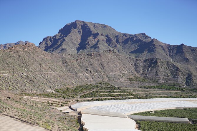 Secret Volcano Tour by Tuk Tuk in Costa Adeje - Views above Aqualand and the resort zone