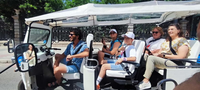 "See Madrid Differently: A Premium Private Tuk Tuk Ride" - Plaza Mayor, San Miguel, and La Latina