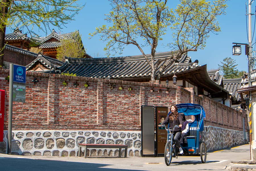 Seoul Private Pedicab Tour : Bukchon Anguk Hanok Village - The Guide Can Make or Break the Ride