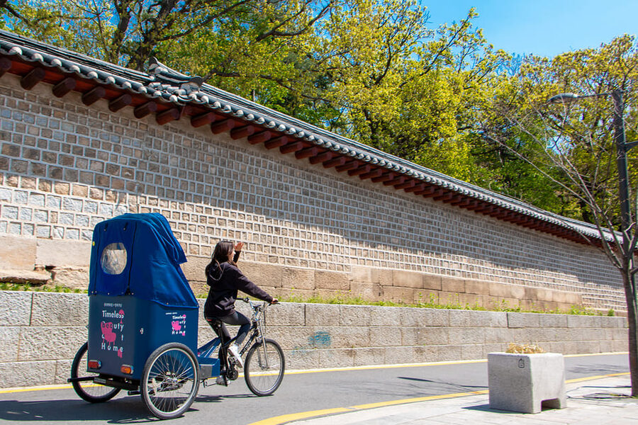 Seoul Private Pedicab Tour : Bukchon Anguk Hanok Village - Two Hours: Enough for an Introduction