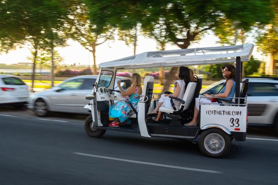 Seville: Private City Tour by Eco Tuk Tuk - Key points to know before you book