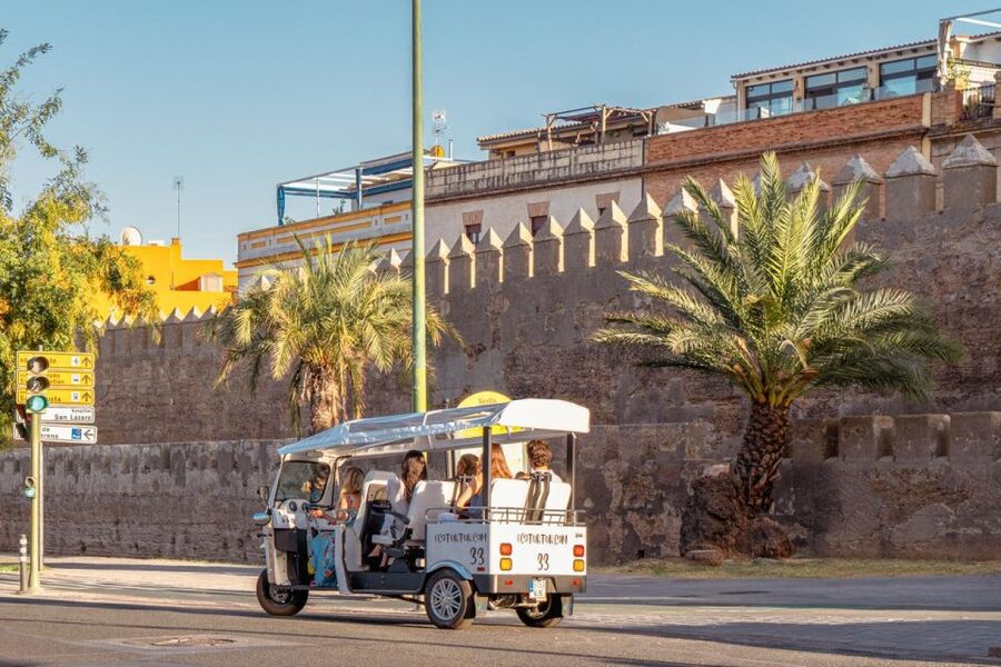Seville: Private City Tour by Eco Tuk Tuk - The guide and the private vehicle