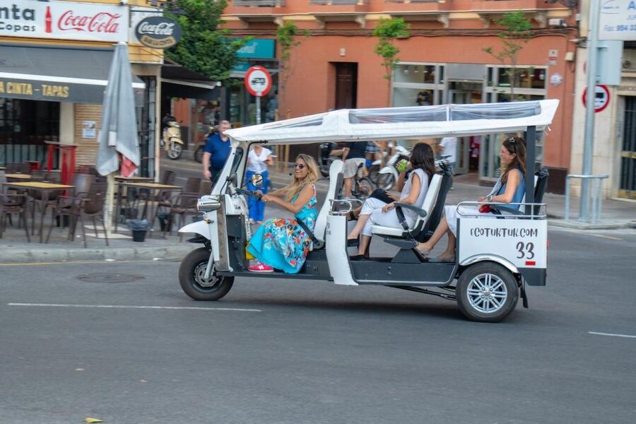 Seville: Private City Tour by Eco Tuk Tuk - The Maestranza bullring and Seville’s traditions