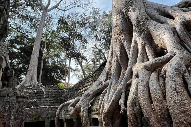 Siem Reap Temple Tuktuk Tour: Explore Angkor Wat and beyond. - Who will enjoy this tour most?