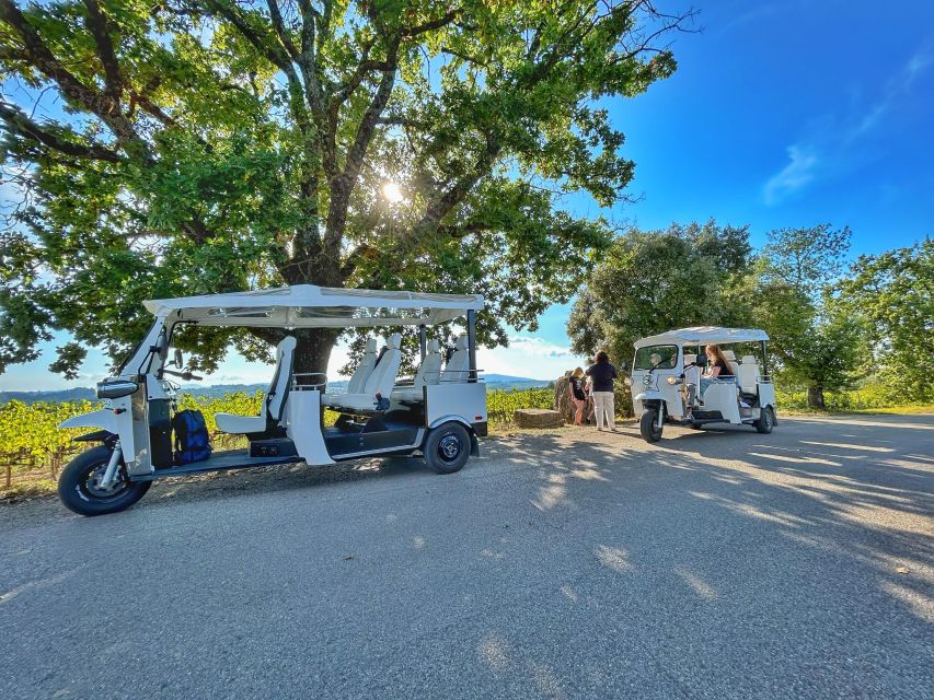 Siena: Tuk Tuk Tour with Wine Tasting - Key points to know before booking