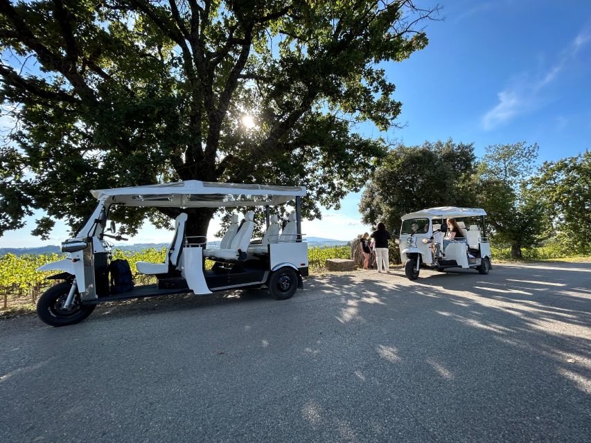 Siena: Tuk Tuk Tour with Wine Tasting - Who will enjoy this tour most?
