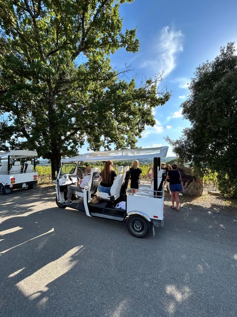 Siena: Tuk Tuk Tour with Wine Tasting - Practical details that affect your day