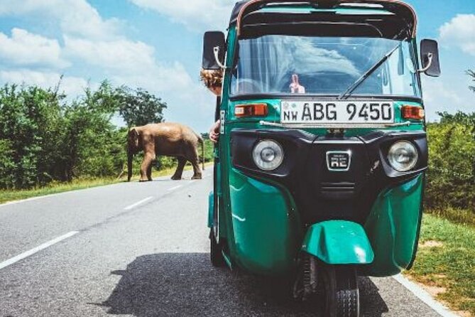 Sigiriya and Dambulla Private Day Tour by Tuk-Tuk or Car - What This Private Sigiriya and Dambulla Day Covers