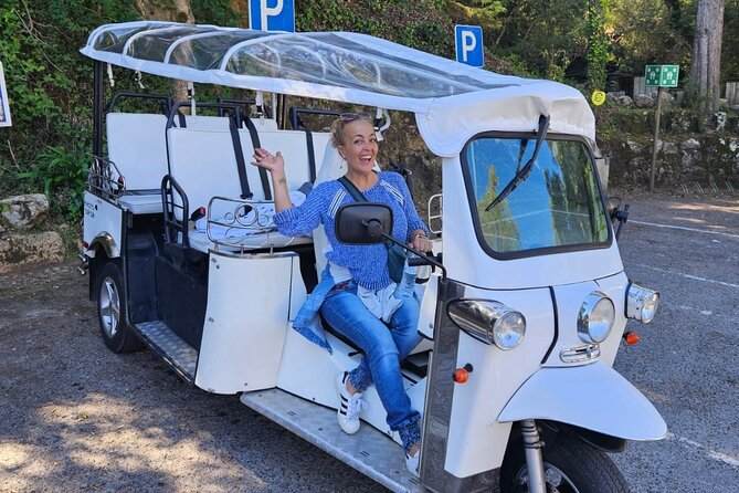 Sintra Electric Tuk Tuk Tour with Local Expert Guides 2h30 - Sintra National Palace from above