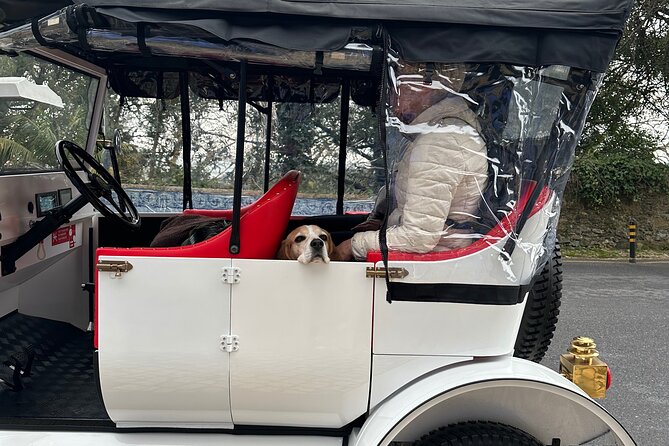 Sintra Tour by Electric Tuk Tuk - Regaleira, Seteais, and Monserrate