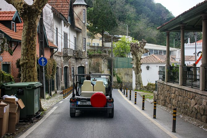 Sintra Tuk Tuk (Electric) 4-5 hours tour - The guide makes the private format worthwhile