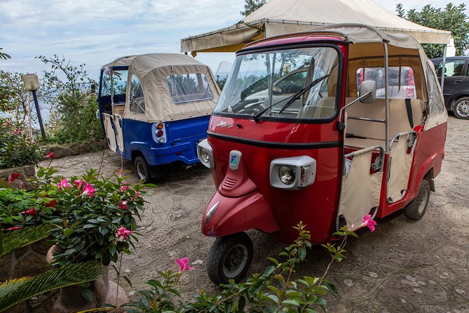 Sorrento Farm by Tuk Tuk: Cheese, Limoncello & Hands-On Pizza - Who will enjoy this Sorrento food tour?
