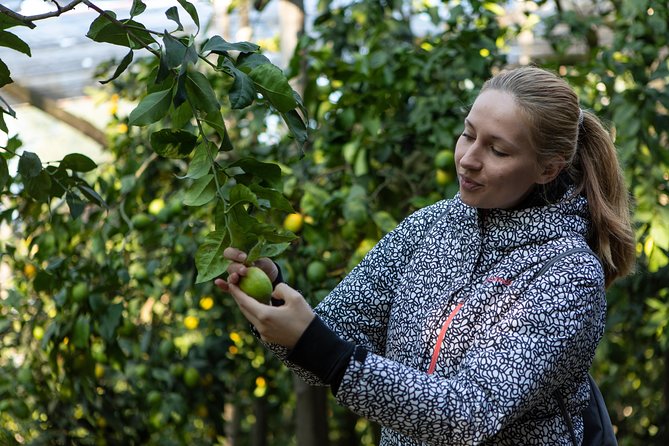 Sorrento Farm by Tuk Tuk: Cheese, Limoncello & Hands-On Pizza - Lemon trees, olive oil, and a taste of farm life