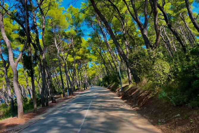 Split by Private Electric Rickshaw - Palace & Hidden Gems - Which route should you choose?