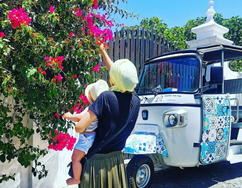 Tavira: Tuk-Tuk City Tour - Five minutes at the Atalaia salt pans