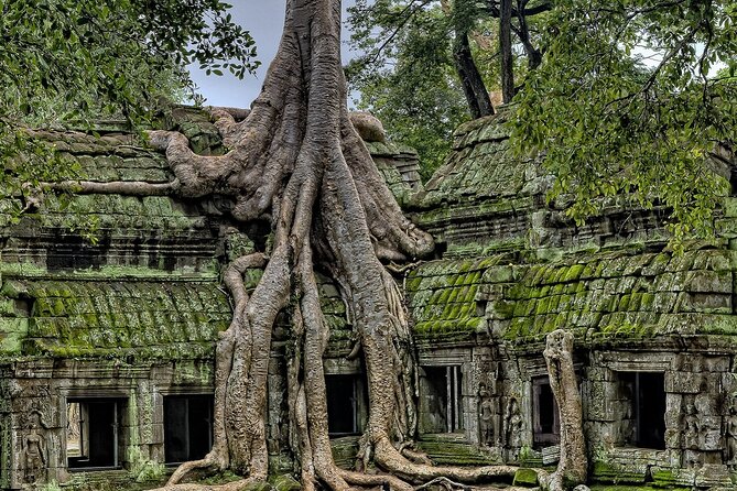 The Angkor Temples from Sunrise by Tuk Tuk - Angkor Thom shows the scale of the old city