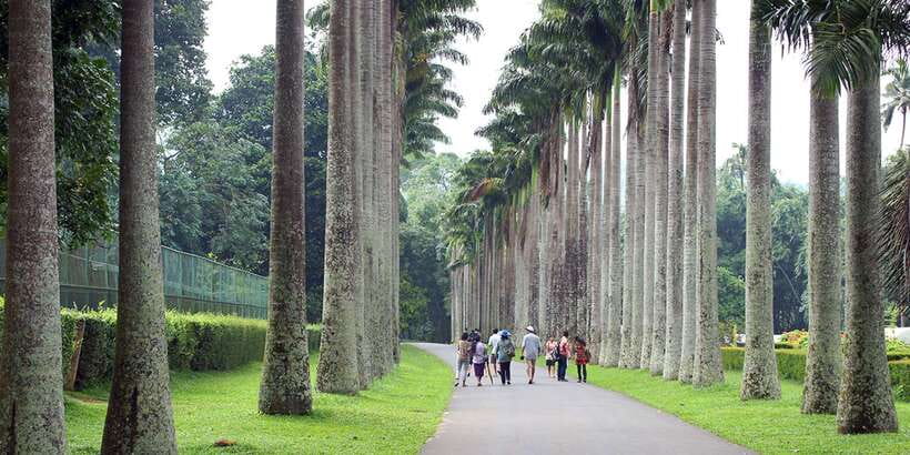 Three Temples Loop In Kandy Day Tour By Tuk Tuk - Gadaladeniya Temple and Lankathilaka Temple