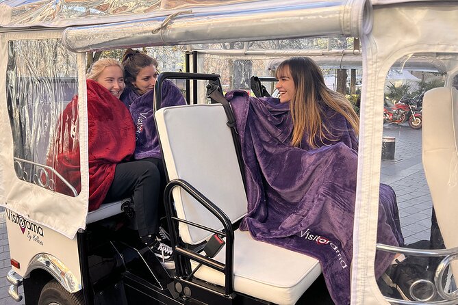 Toulouse Tour in Electric Tuk Tuk - Saint-Sernin, Saint Raymond, and the Jacobins Convent