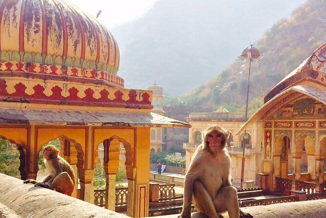 Travel Through the Streets of Jaipur by Tuktuk with a Local - Amber Fort deserves the longest look