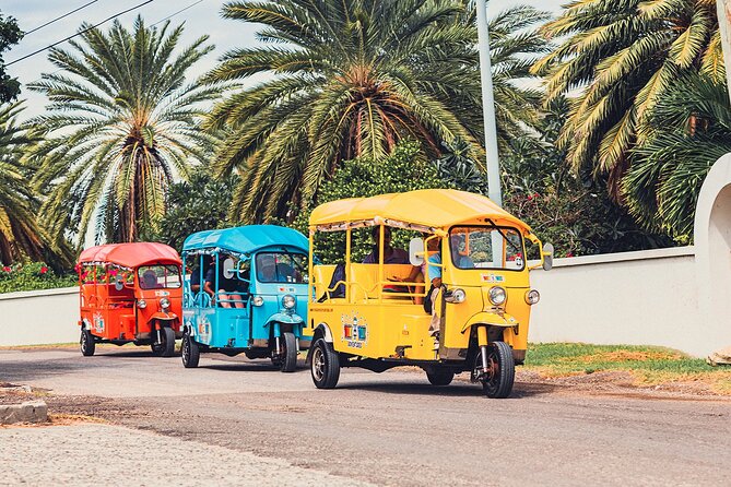 Tuk-Tuk Adventures Rainforest and Beach Hopping Tour - Why this tuk-tuk tour works well for a first look at Antigua