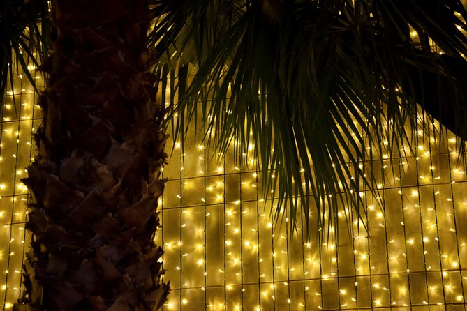 Tuk Tuk Funchal Magic Christmas Lights - The Farmers Market and Santa Maria’s Painted Doors