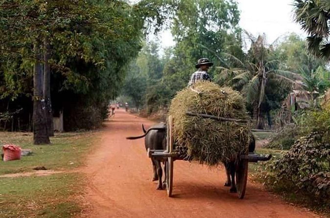 Tuk Tuk Journey: Exploring Rural Life and Silk Farm Craftsmanship - Angkor Silk Farm, from silkworm to woven cloth
