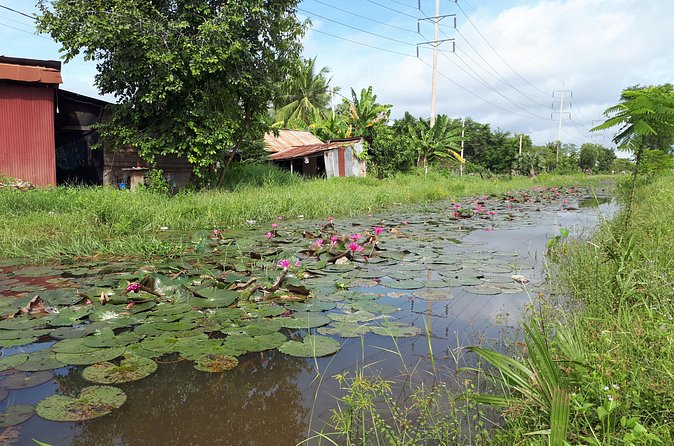 Tuk Tuk Journey: Exploring Rural Life and Silk Farm Craftsmanship - A local pagoda and Cambodian Buddhist life