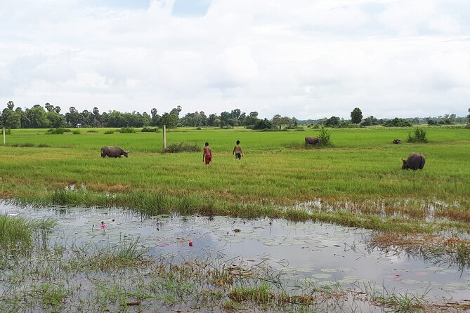 Tuk Tuk Journey: Exploring Rural Life and Silk Farm Craftsmanship - Who will enjoy this experience most