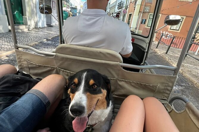 Tuk-Tuk Lisbon Tour 1 - 3hours - São Vicente, the National Pantheon, and Alfama