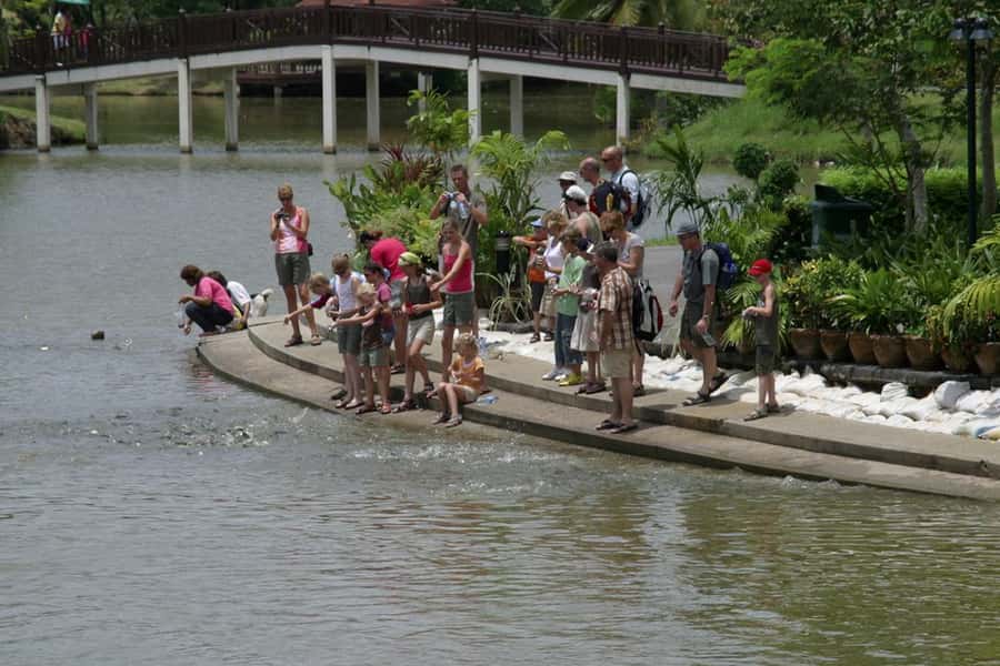 Tuk-Tuk, Longtail-boat and Rickshaw Bangkok jungle Tour - Sri Nakhon Khuean Khan Park brings a quiet pause
