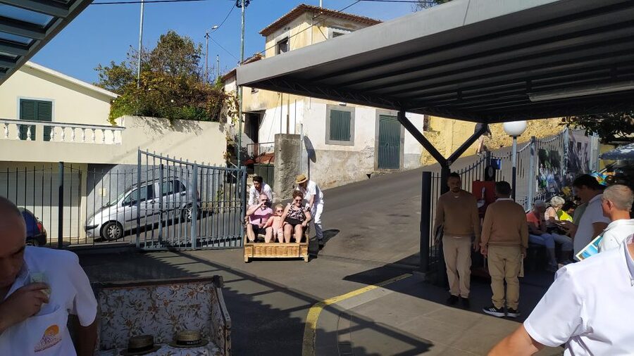 Tuk Tuk Monte Toboggan - Madeira Island - Booking details worth checking