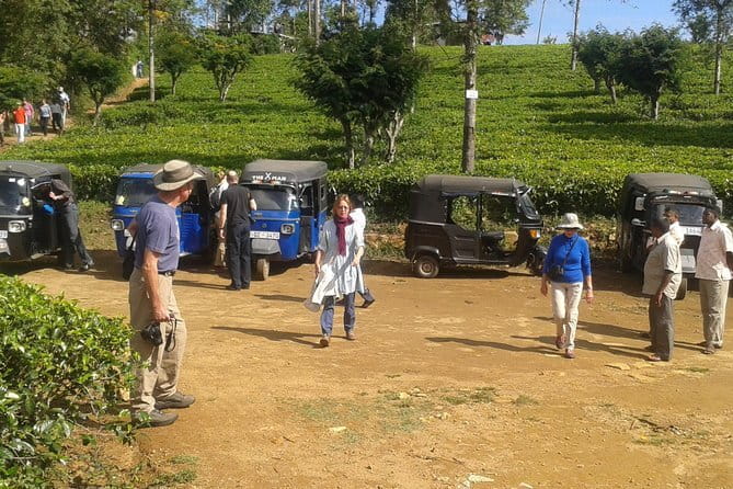 Tuk Tuk safari and Picnic in The Tea Plantation from Ella,Haputale & Bandarawela - Key points to know before you book