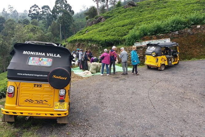 Tuk Tuk safari and Picnic in The Tea Plantation from Ella,Haputale & Bandarawela - The ride to Lipton’s Seat is part of the experience