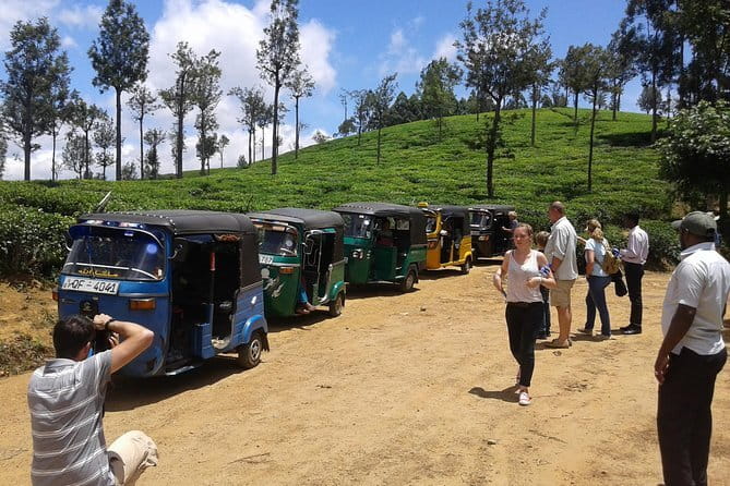 Tuk Tuk safari and Picnic in The Tea Plantation from Ella,Haputale & Bandarawela - Try picking tea leaves beside local harvesters