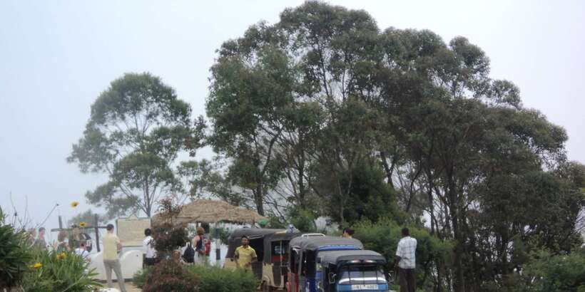 Tuk-Tuk Safari Liptons seat,Tea Fields Hike,TeaFactory Tour - Why the $60 price can make sense
