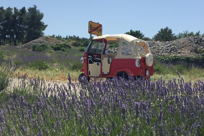 Tuk Tuk Sightseeing Tour of Hvar - Hvar Beyond the Harbor