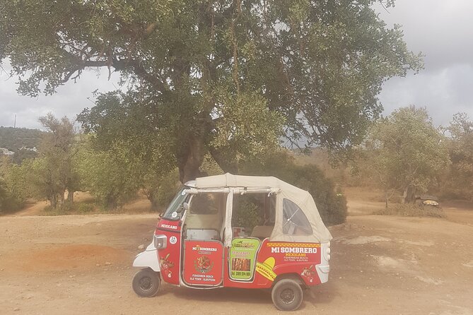 Tuk tuk tour- the best way to see coast and country side - A private tour for up to three people