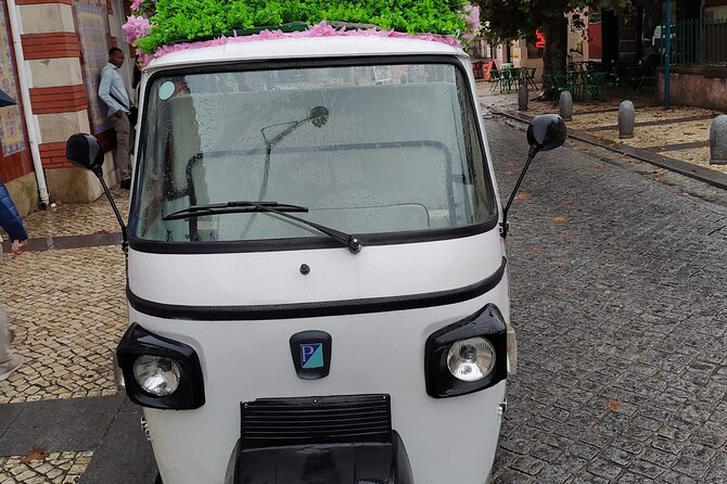 Tuk Tuk Transfer With Sintra Pena Ticket From Meeting Point - What you do inside the palace grounds
