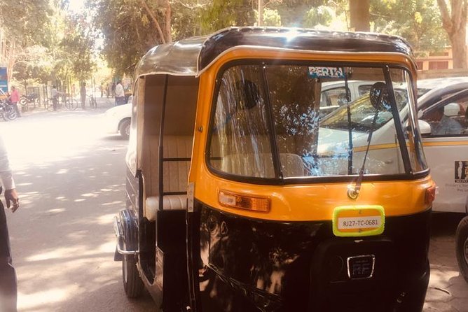 Udaipur Full Day Sightseeing Tour By Tuk Tuk - City Palace needs more time than the schedule suggests