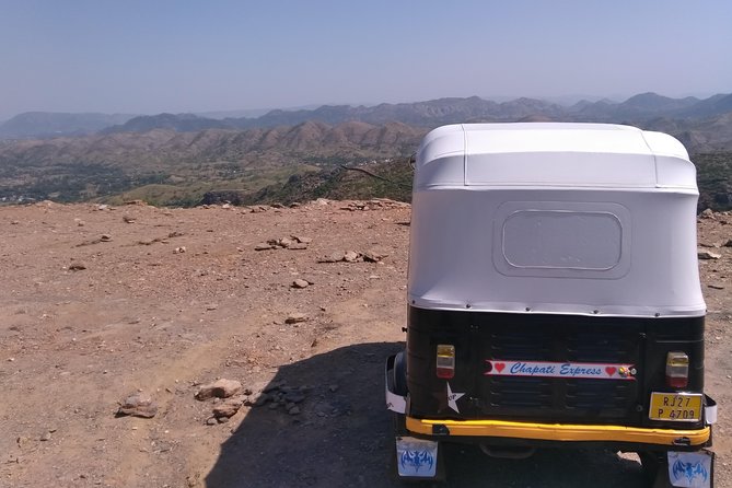 Udaipur sightseeing by tuk tuk or car - Why a private tuk-tuk works well in Udaipur