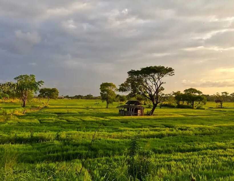 Unseen Sigiriya: Village & Rock Viewpoints by Tuk Tuk - Should You Book the Sigiriya Tuk Tuk Viewpoints Tour?