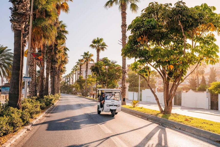 Valencia: 1-hour Private Tuk Tuk Tour - Why this tuk tuk tour works well in Valencia