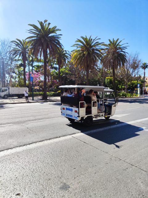 Valencia: 2-hour City Highlights Guided Tour by Tuk Tuk - Puente de las Flores and Valencia’s public spaces