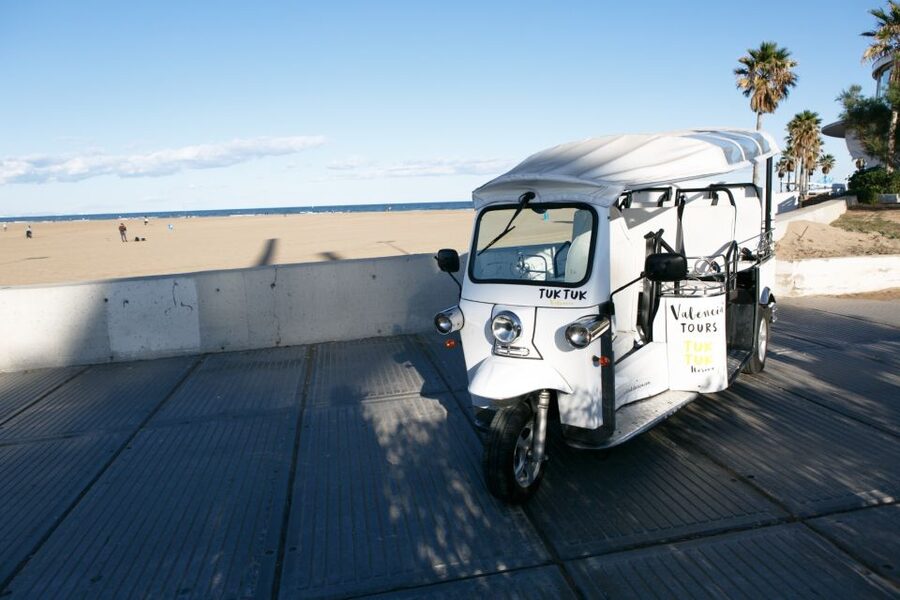 Valencia: Complete Tuk-Tuk Tour Around the City - Through the old city gates and historic center