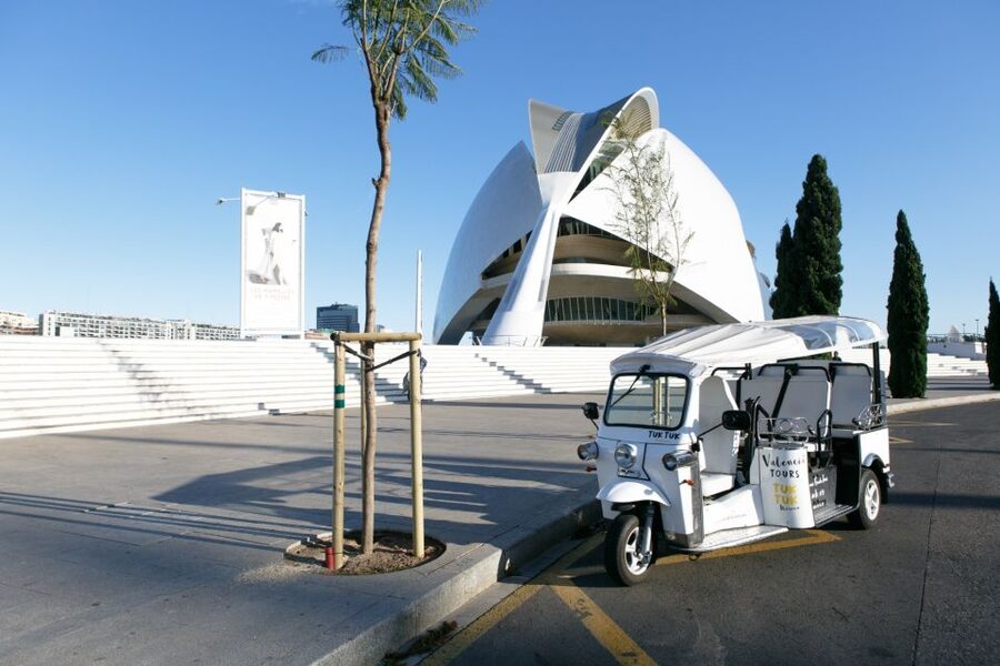 Valencia: Complete Tuk-Tuk Tour Around the City - Along the old Turia riverbed