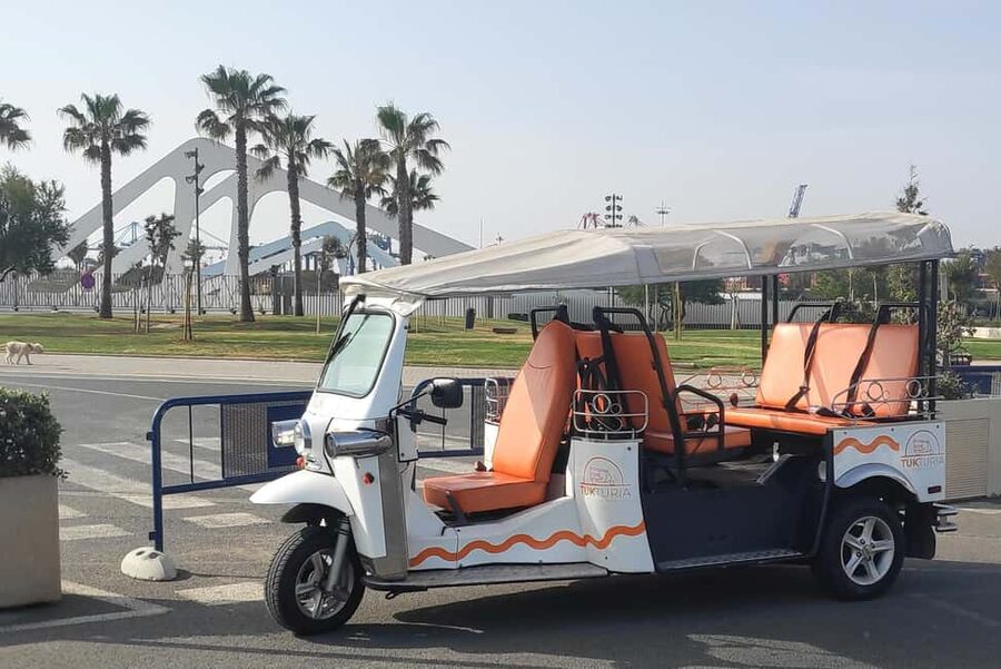 Valencia: Tuk Tuk City Tour - Markets, marina, and beach in one route