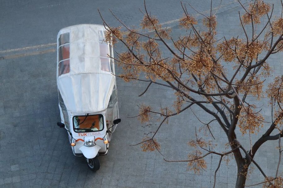 Valencia: Tuk Tuk Historical Tour - Who will enjoy this most