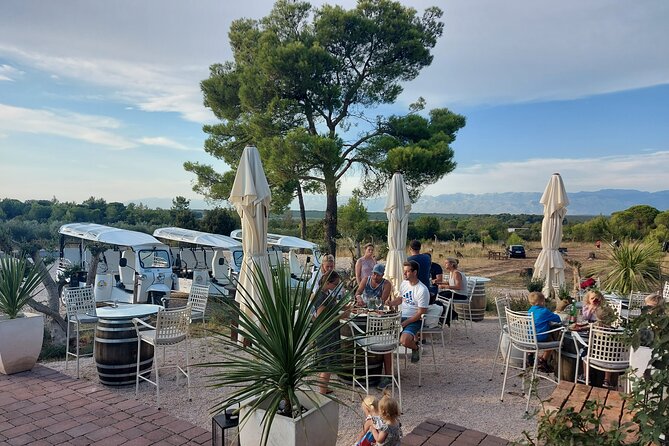 Zadar: City and Wine Tour in Zadar with Eco Tuk Tuk - The Sea Organ, where the waterfront makes music